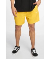 BAÑADOR DICKIES RIFTON CUS