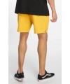 BAÑADOR DICKIES RIFTON CUS