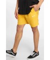 BAÑADOR DICKIES RIFTON CUS