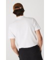 CAMISETA LACOSTE OTOMAN BLANC