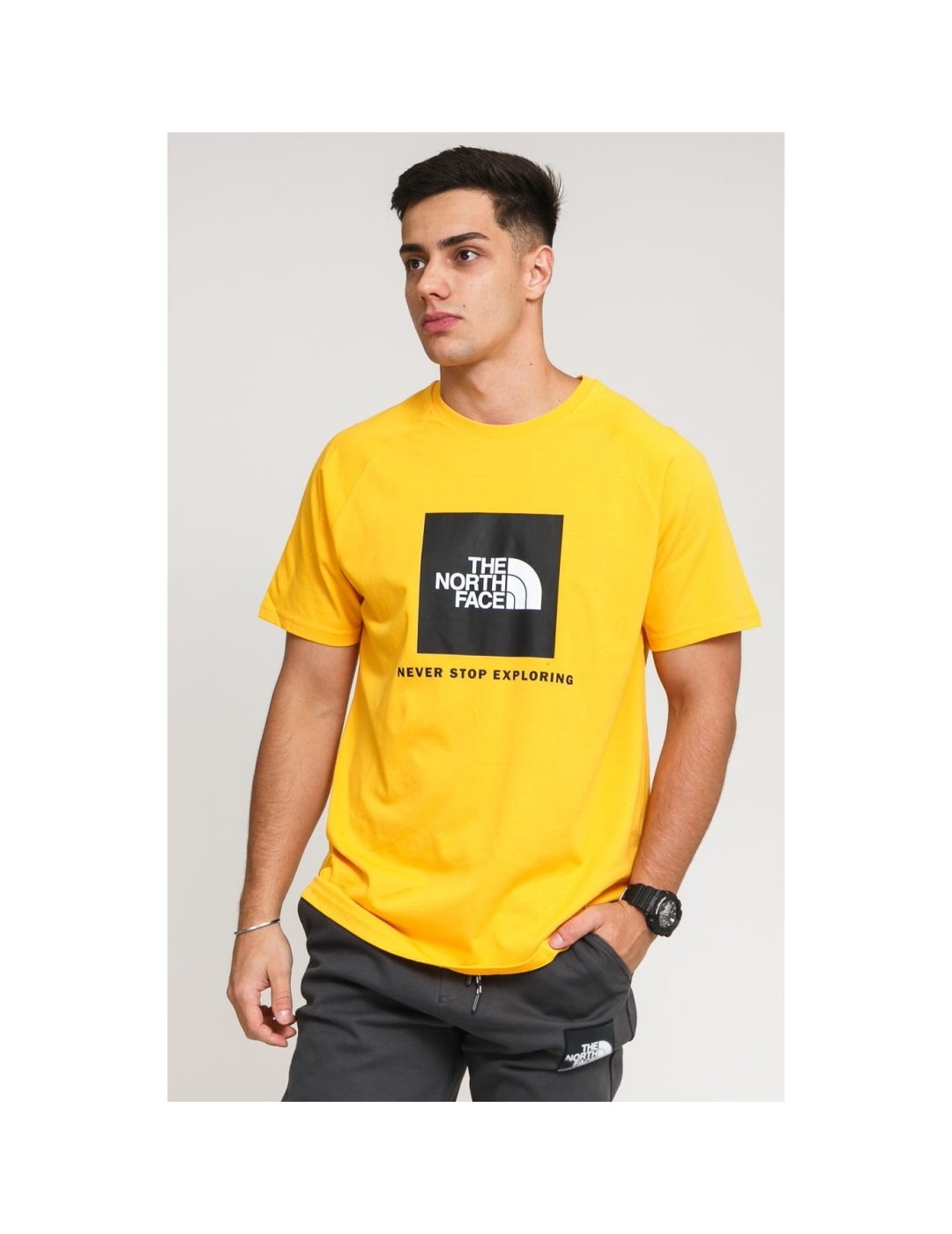 CAMISETA THE NORTH FACE S/S RAG RED BOX TEE SUMMIT GOLD