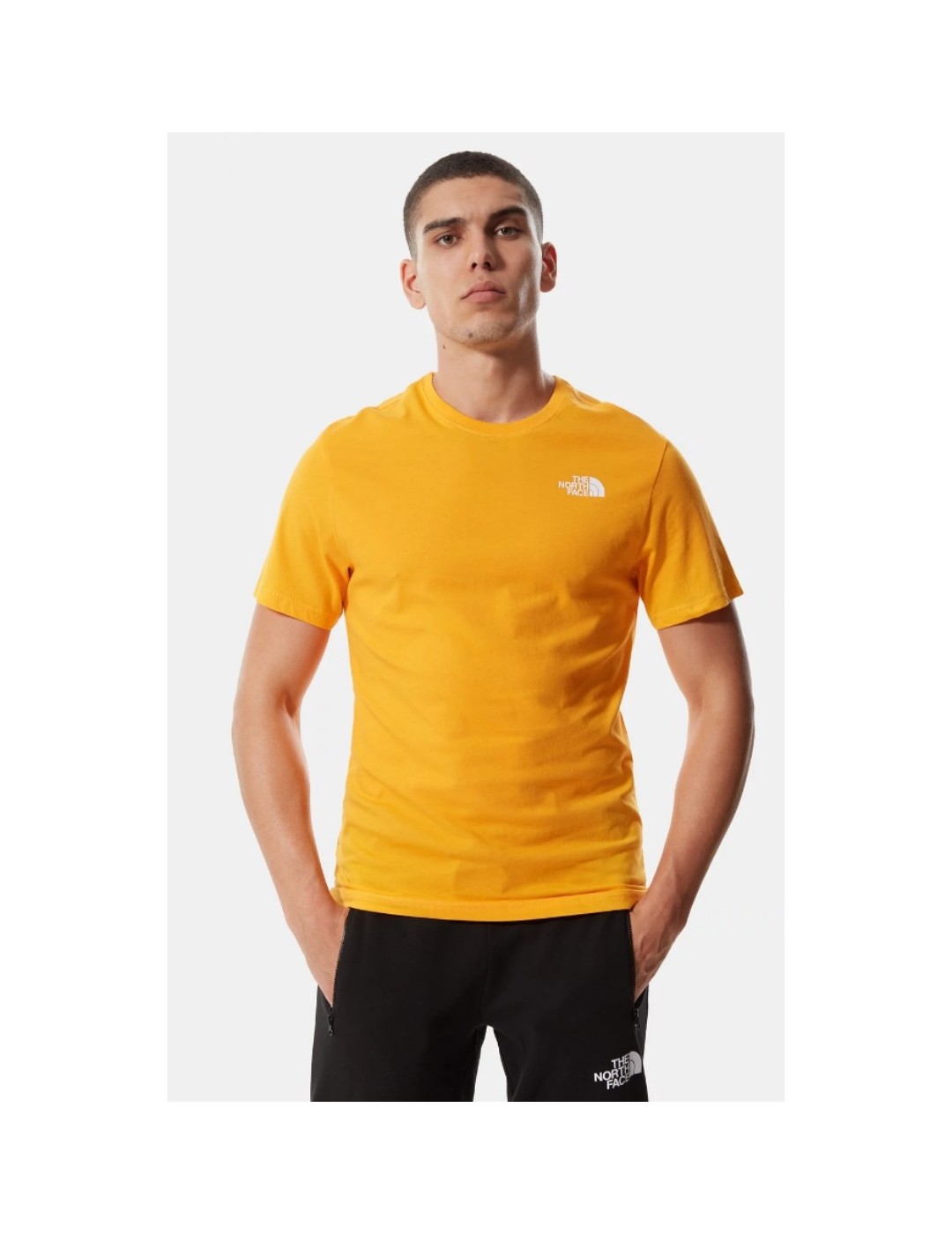 CAMISETA THE NORTH FACE S/S RED BOX TEE SUMMIT GOLD TNF BLACK