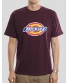 CAMISETA DICKIES ICON LOGO TEE MAROON